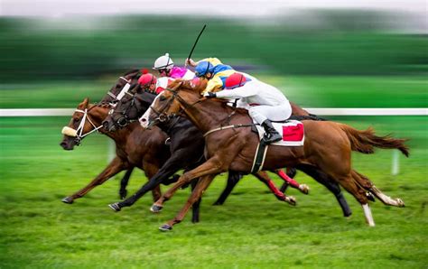 Apostas Em Corridas De Cavalos Paulista