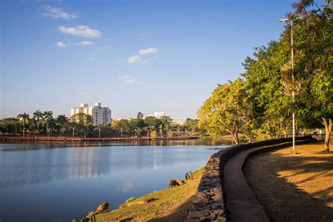 Apostas Em Tenis Sao Jose Do Rio Preto