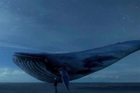 Baleia Azul Maquina De Fenda
