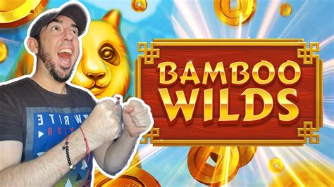 Bamboo Wilds Bwin