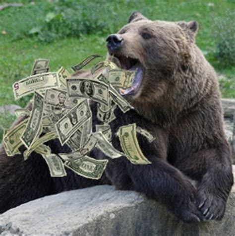 Bear Money Betano