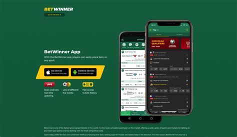 Betwinner Casino App