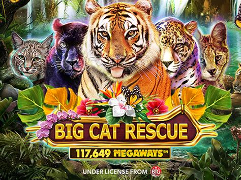 Big Cat Rescue Megaways Novibet