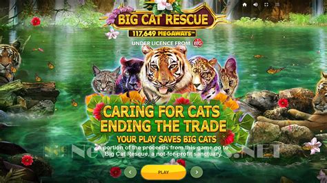 Big Cat Rescue Megaways Review 2024