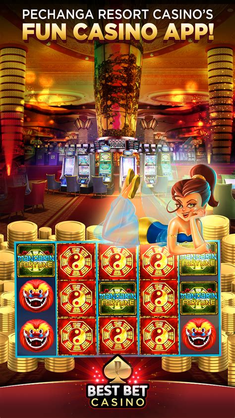 Bingo Bet Casino App