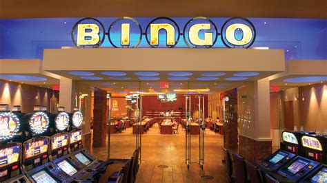 Bingo Please Casino Brazil