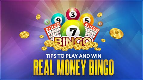 Bingo Stars Casino Download