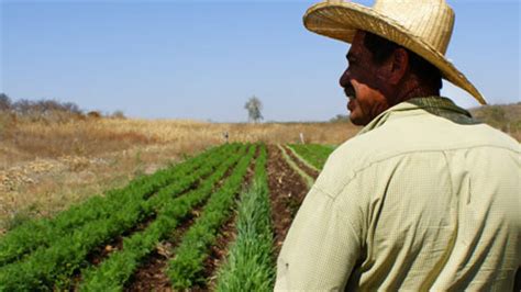 Blackjack Agricultura