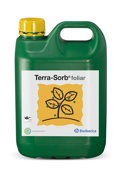 Blackjack Terra Sorb