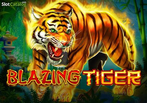 Blazing Tiger Brabet