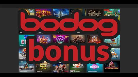 Bodog Casino Haiti
