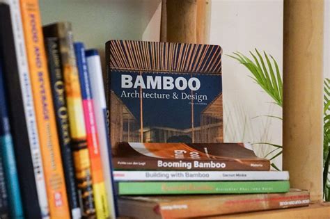 Book Of Bamboo Betway