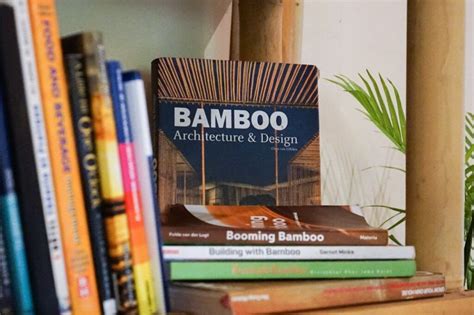 Book Of Bamboo Leovegas
