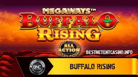 Buffalo Rising Megaways All Action Betfair