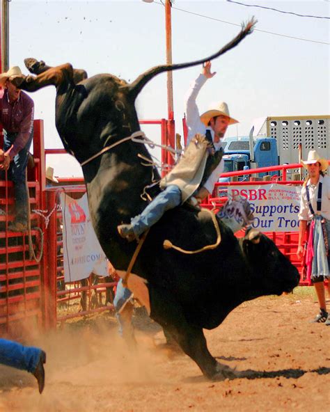 Bull In A Rodeo Leovegas