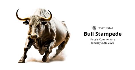 Bull Stampede 1xbet