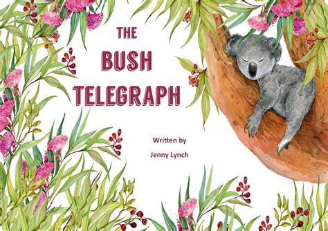 Bush Telegraph Bwin