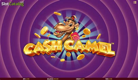 Cash Camel Blaze