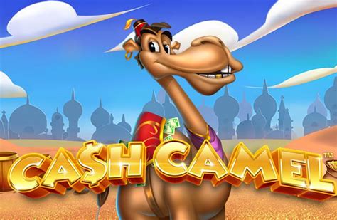 Cash Camel Brabet