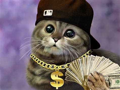 Cat Gangster Sportingbet