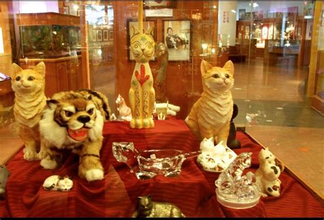 Cat Museum 1xbet