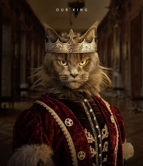 Cats Royal Parimatch