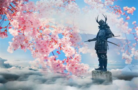 Cherry Blossom Samurai Betano