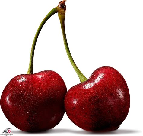 Cherry Cherry Sportingbet