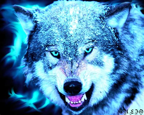 Cool Wolf Netbet