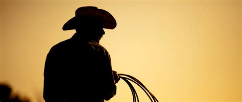 Cowboy De Rodeio De Poker