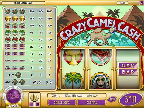 Crazy Camel Cash 888 Casino