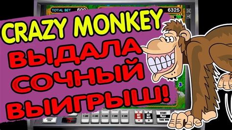 Crazy Monkey Bwin