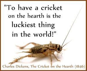 Cricket S Luck Brabet