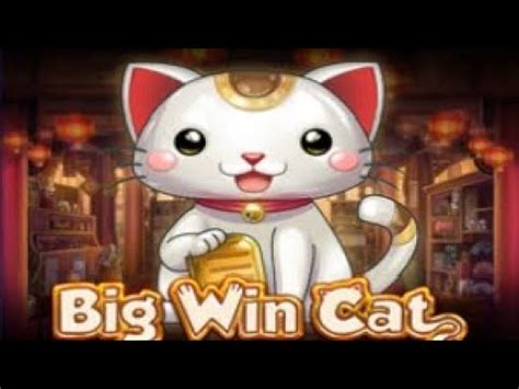 Cute Cats 1xbet