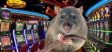 De Volta Rat Casino