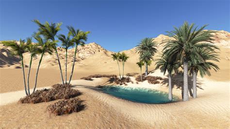 Desert Oasis Betsul