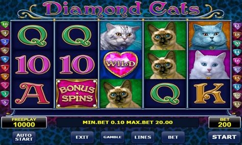Diamond Cats Bodog
