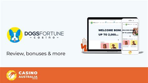 Dogsfortune Casino Apostas