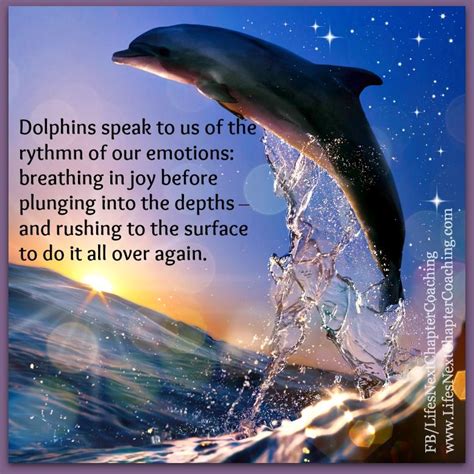 Dolphin S Blessing Novibet