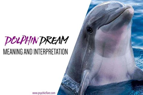 Dolphin S Dream Blaze