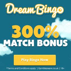 Dream Bingo Casino