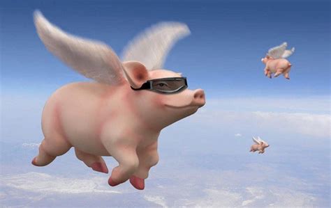 Flying Pigs Sportingbet