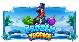 Frozen Tropics Brabet