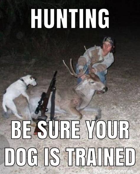 Funny Hunting Bwin