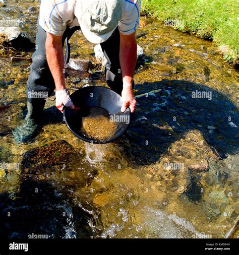 Gold Panning Brabet