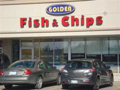 Golden Fish Review 2024