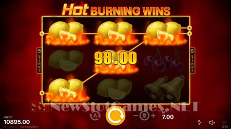 Hot Burning Wins Review 2024