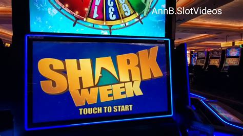 It S Shark Time 888 Casino