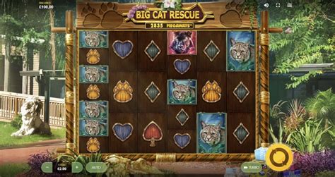 Jogar Big Cat Rescue Megaways No Modo Demo
