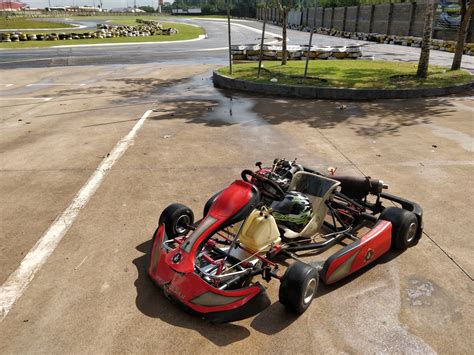 Jogar Wild Kart Races Com Dinheiro Real